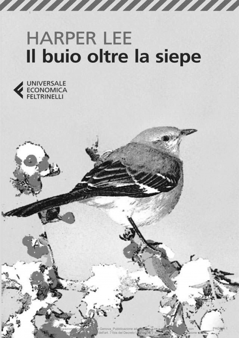 Il Buio Oltre La Siepe Scheda Libro